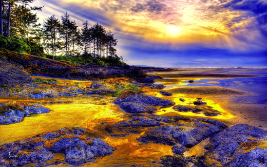 686521 (a): :2560x1600
